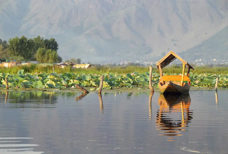 Shikara boat on Dal Lake, Srinagar