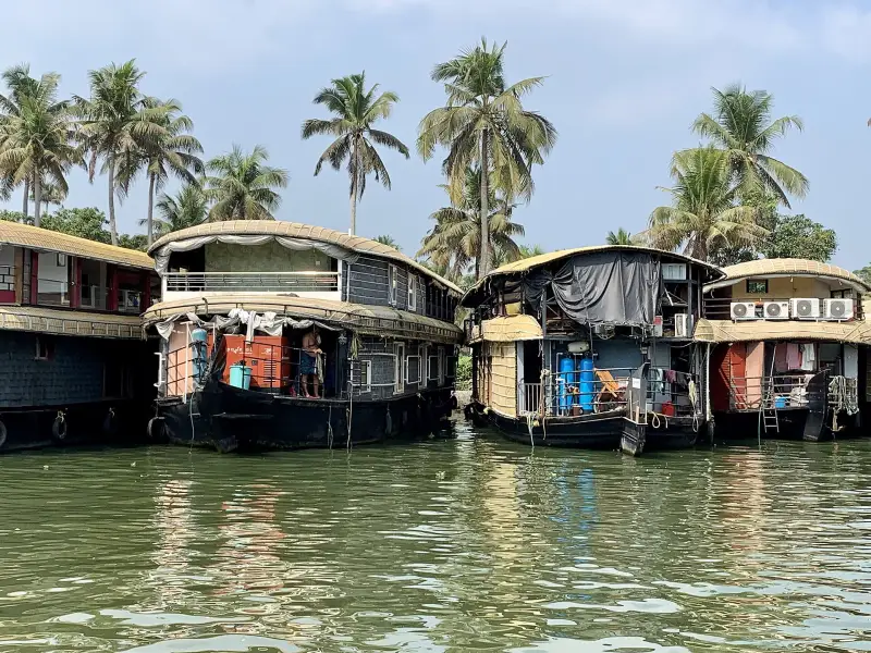 Traditional houseboats moored on the Alleppey backwaters in Kerala