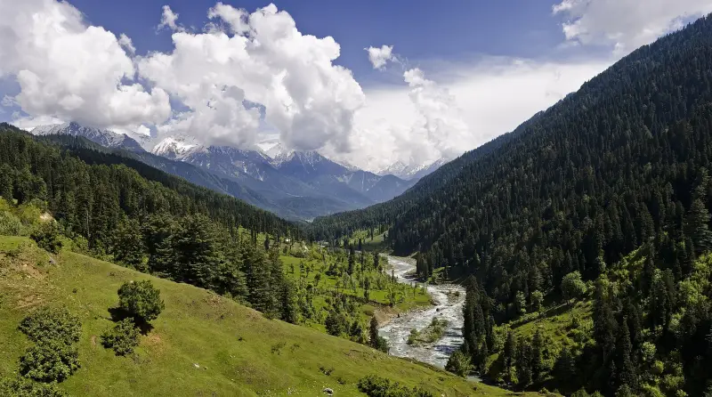 Pine-covered Pahalgam valley with the Lidder river and mountains