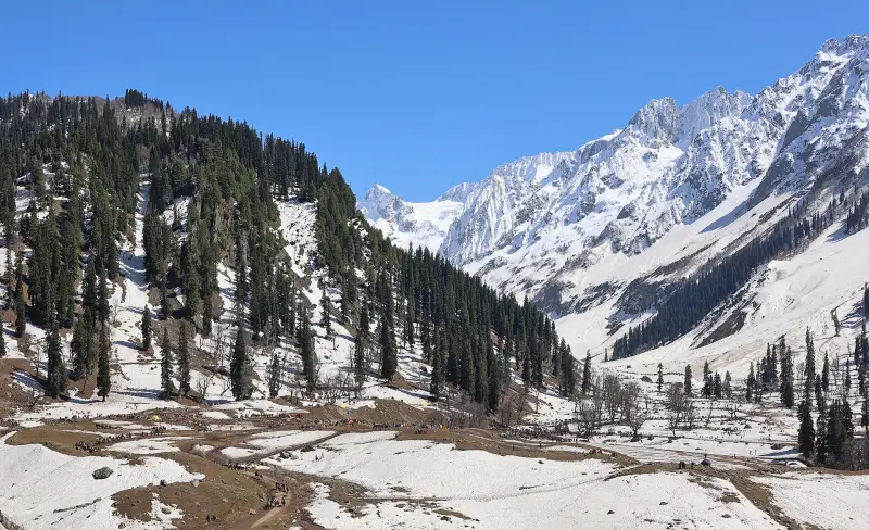Snow-capped mountains and pine forests in Sonamarg, Kashmir