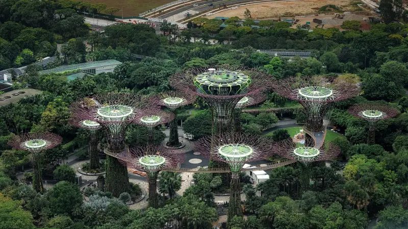Supertree Grove at Gardens by the Bay, Singapore